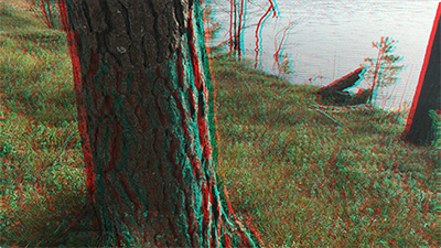 Cyan channel of anaglyph (placeholder)